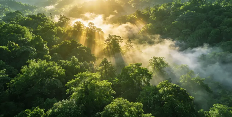 梅州肺癌（EGFR T790M)突变检测图片1