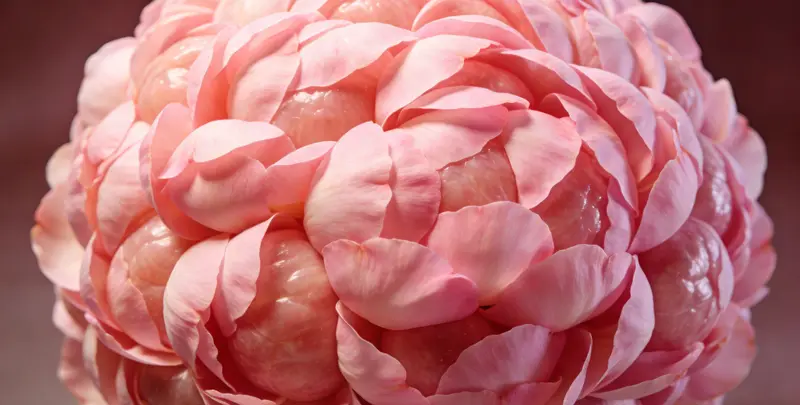 梅州BRCA1/2乳腺癌卵巢癌基因检测图片1